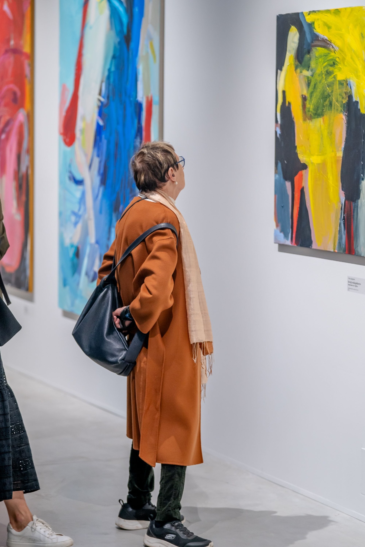 Vaal gallery visitor 2024
